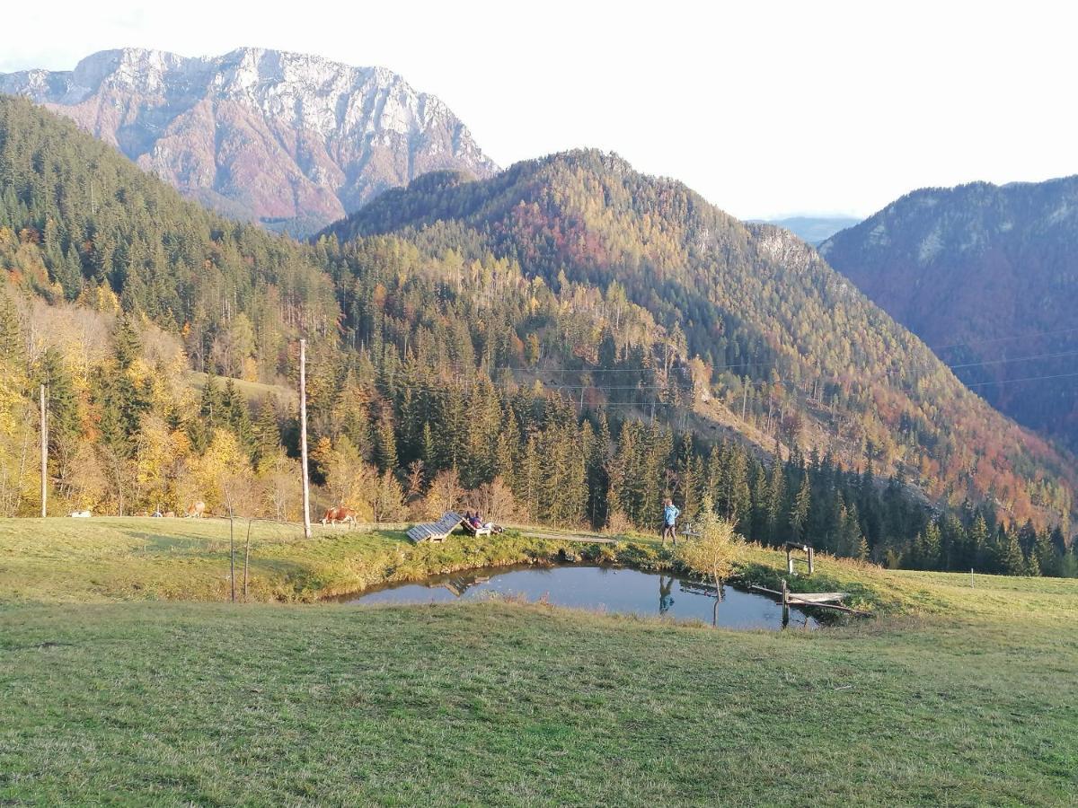 Apartments Novak Ljubno 外观 照片