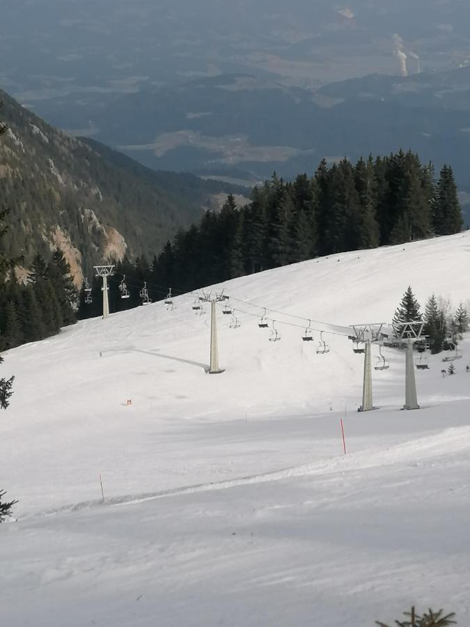Apartments Novak Ljubno 外观 照片