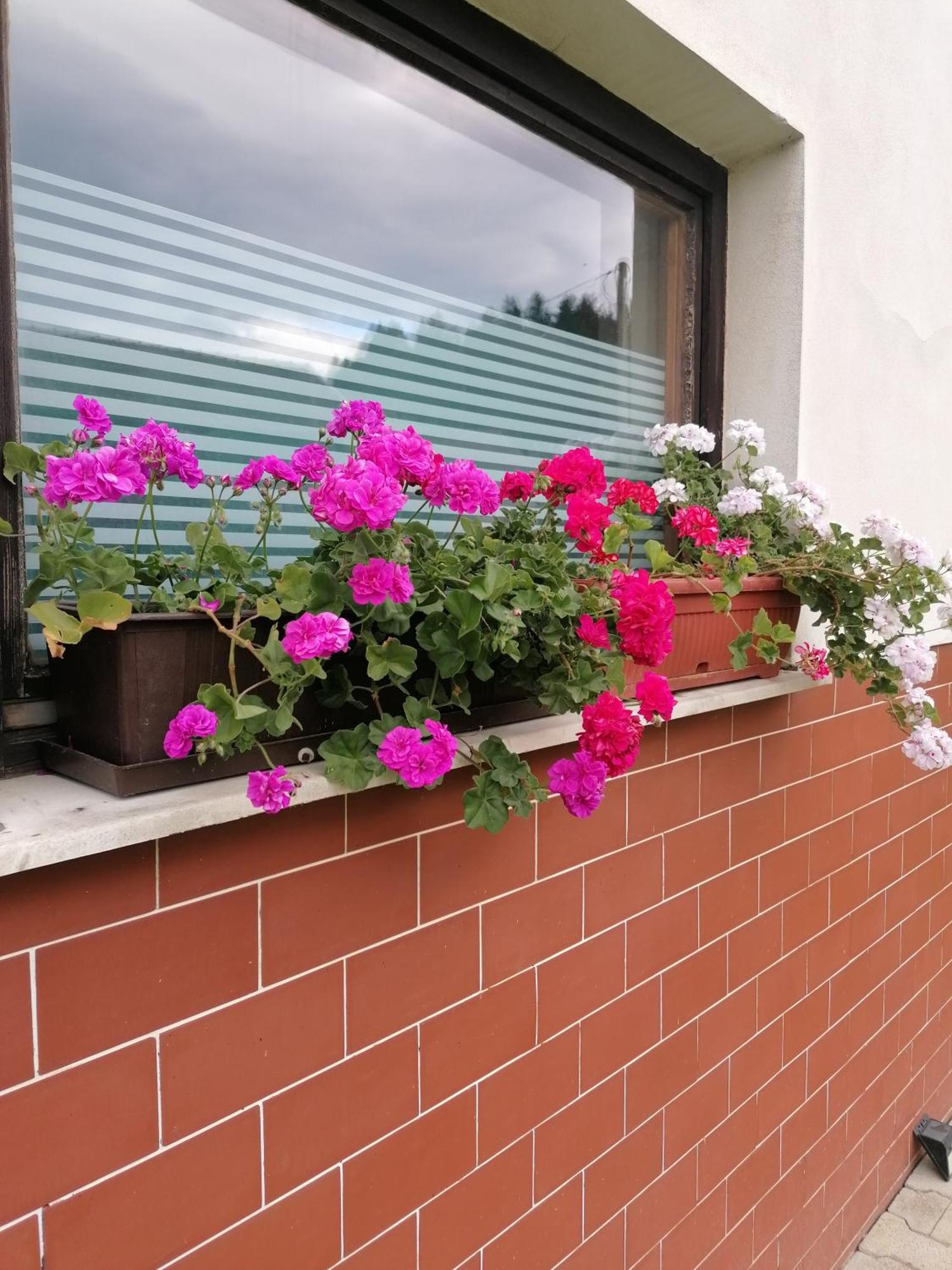 Apartments Novak Ljubno 外观 照片